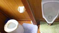 木造の壁に右に男性用便器と下に緑色のカーペット、左に洋式トイレと下に青色のカーペットが敷かれているトイレの写真